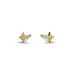 Tini Star Studs
